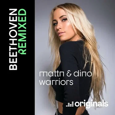 5th Symphony (allegro Con Brio, Symphony No. 5) - Beethoven Remixed