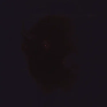 アーマード牛
