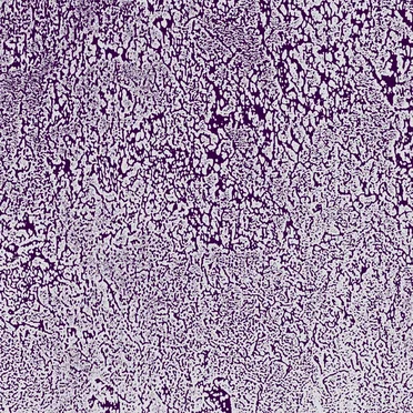 Multifactorial Dynamic Pathways