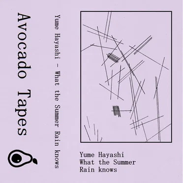 What the Summer Rain Knows
