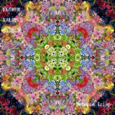 Flower Waltzes (Side 3) by Rebecca Tripp - album cover