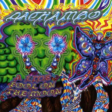 A Live Fool on the Moon by Dachambo - album cover