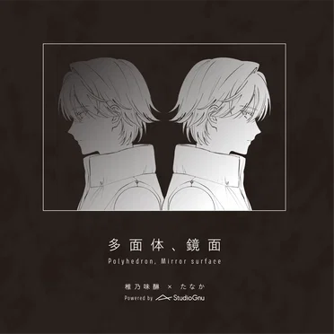 多面体、鏡面