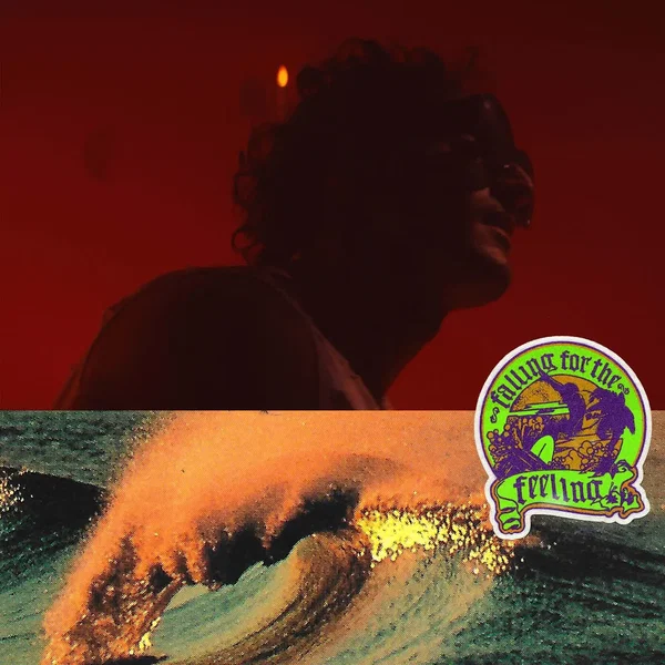 Falling For The Feeling