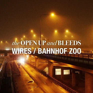 Wires/Bahnhof Zoo by The Open Up and Bleeds - album cover