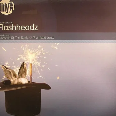 Wizards of the Sonic / Promised Land by Flashheadz - album cover