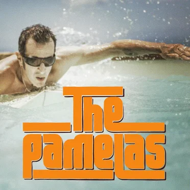The Pamelas by Pamela & the Andersons - album cover