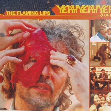 The Yeah Yeah Yeah Song