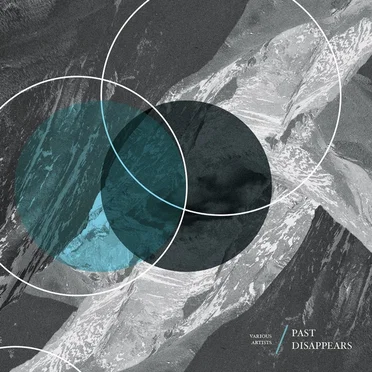 Past Disappears by Various Artists - album cover