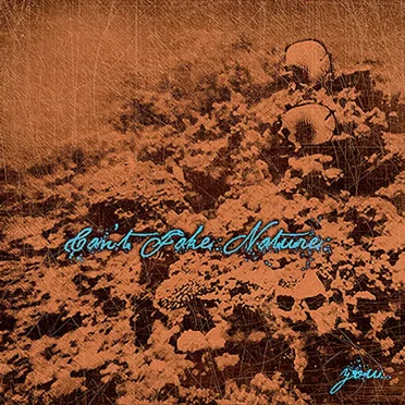 You... by Can't Fake Nature - album cover