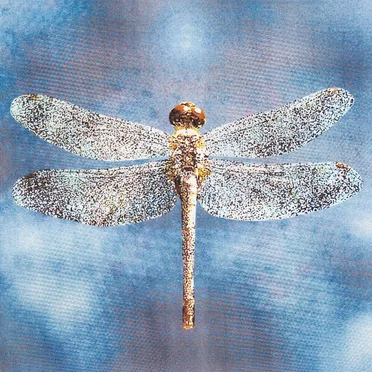 Faceless Angel by Now Always Fades - album cover