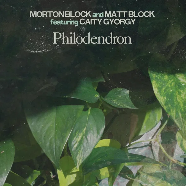 Philodendron