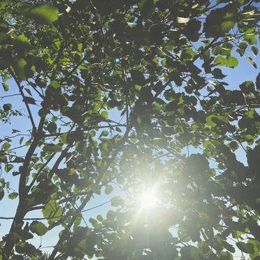 sunwarmed breeze