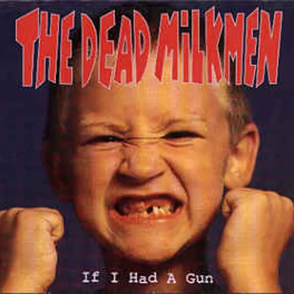 If I Had a Gun