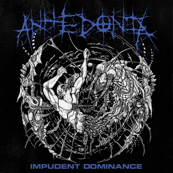 Impudent Dominance