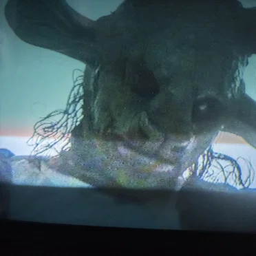 Love in the Time of Covid