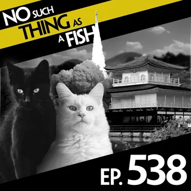 No Such Thing As A Sausage Cat by No Such Thing as a Fish - album cover