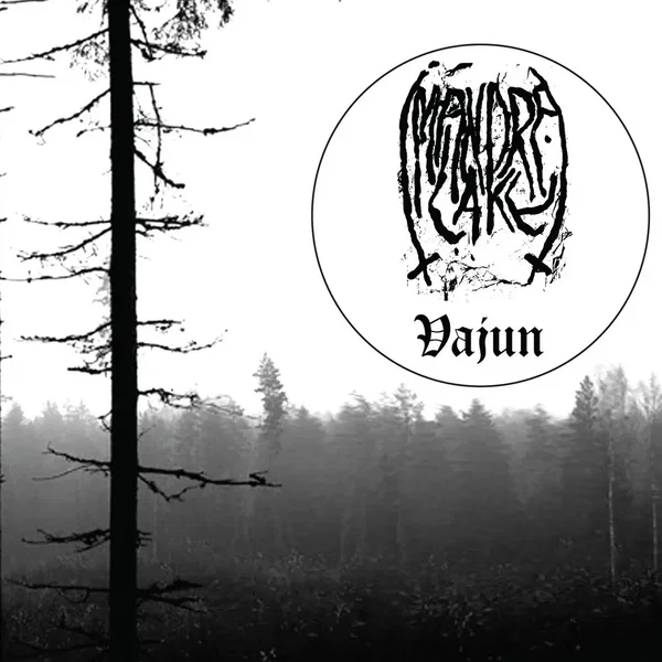 Vajun
