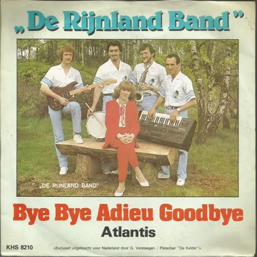 Bye Bye adieu Goodbye by De Rijnland Band - album cover