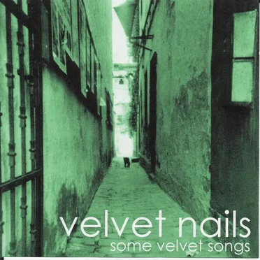 Some Velvet Songs