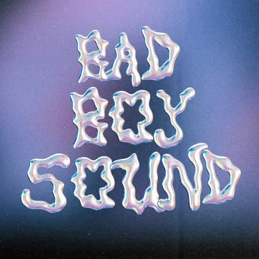 Bad Boy Sound by Feed The Fire - album cover