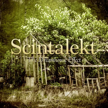 The Dreamhouse Effect by Scintalekt - album cover
