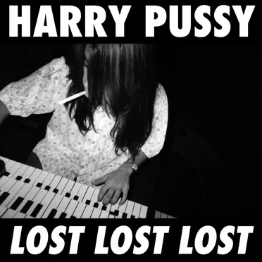 LOST LOST LOST by Harry Pussy - album cover