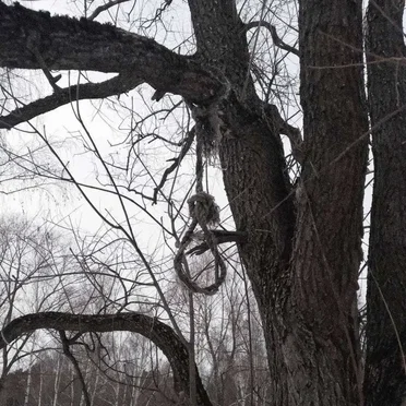 не ждёшь обратно