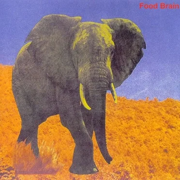Food Brain