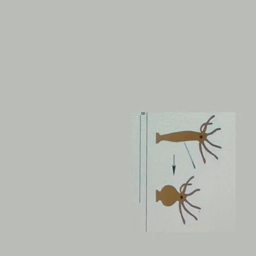 It Sometimes Jumped {*}