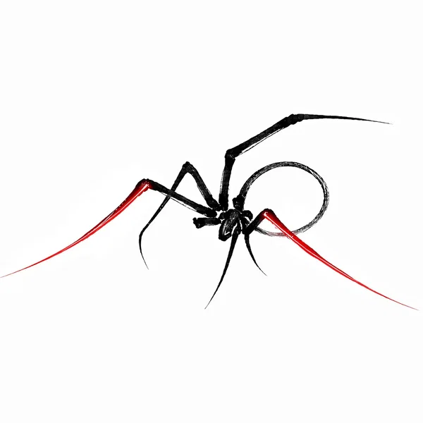 Little Spider