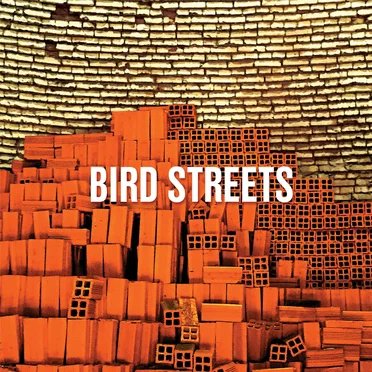 Bird Streets by Bird Streets - album cover
