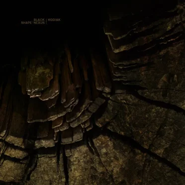 Black Shape of Nexus / Kodiac