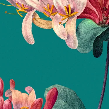 flora (pollen)