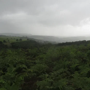 meditations disintegrations