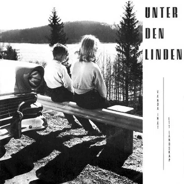 Vända inåt / Ett landskap