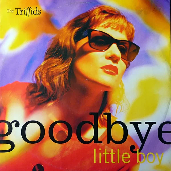 Goodbye Little Boy