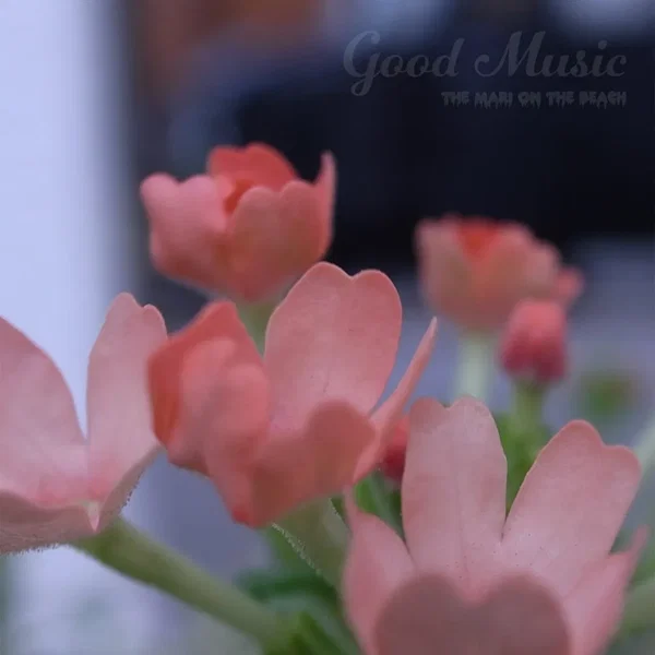 Good Music