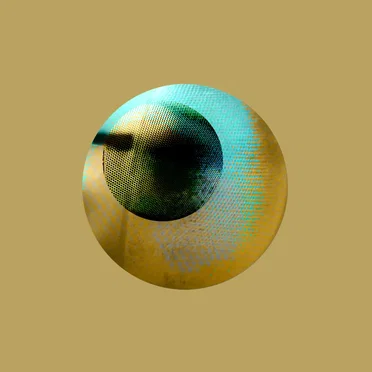 The Sound of the Dragonfly