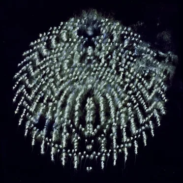 Spectral Sound by Various Artists - album cover