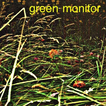 In The Long Grass by Green Monitor - album cover