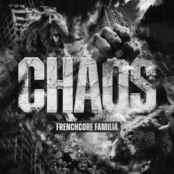Chaos