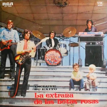 La extraña de las botas rosas