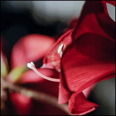 Everything We Are, Part Two