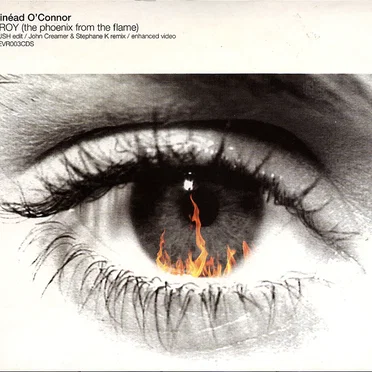 Troy (The Phoenix From the Flame)