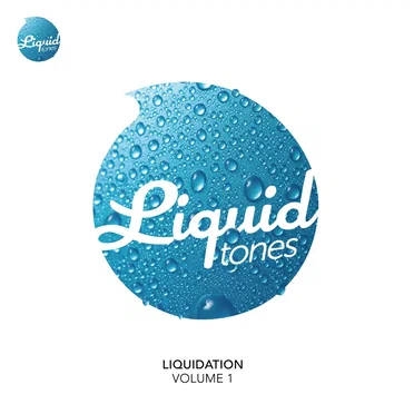Liquidation, Volume 1 by Various Artists - album cover