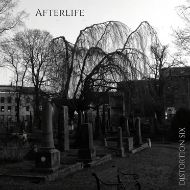 AFTERLIFE by Distortion Six - album cover