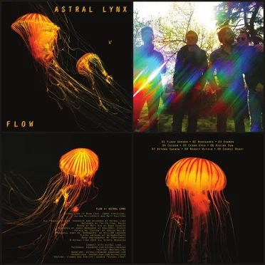 Flow