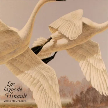 Vidas ejemplares by Los lagos de Hinault - album cover