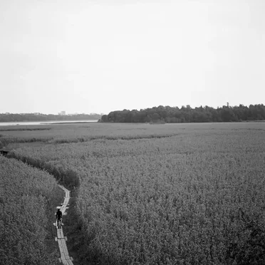 Välitila